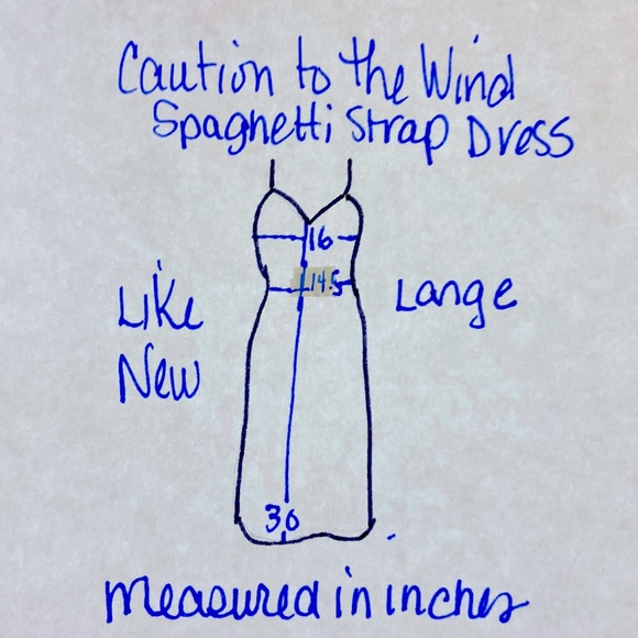 Caution to the Wind Spaghetti Dress. NWOT. Size Large. Black & White Stripes. - Picture 9 of 11